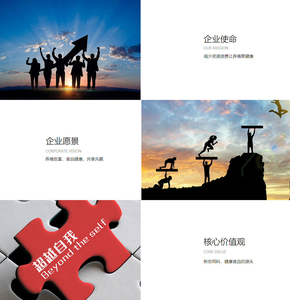 pg登录(图1)